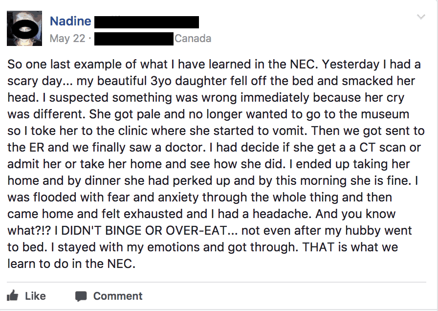 Nadine NEC2